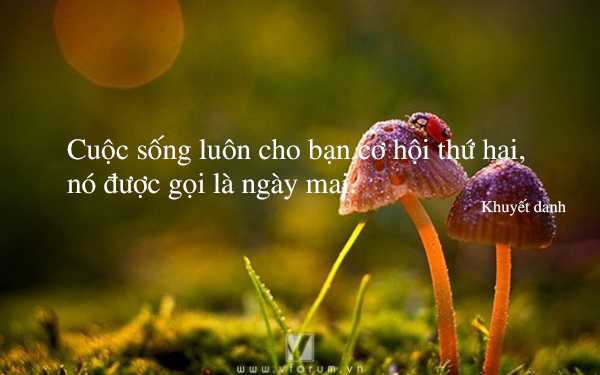 soi cầu Quảng Nam