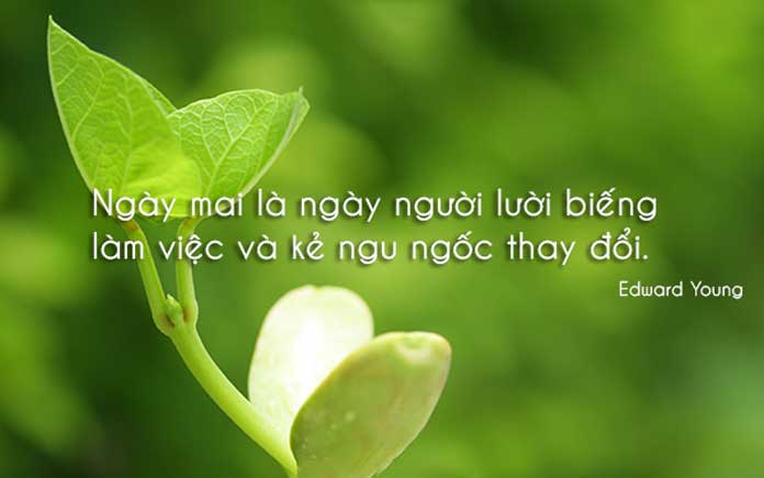 soi cầu Đồng Nai