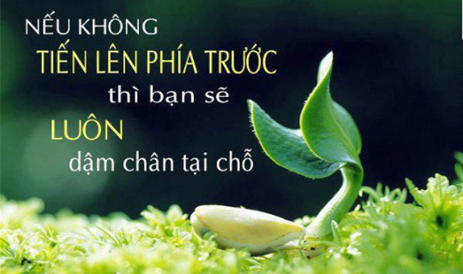 soi cầu Quảng Bình