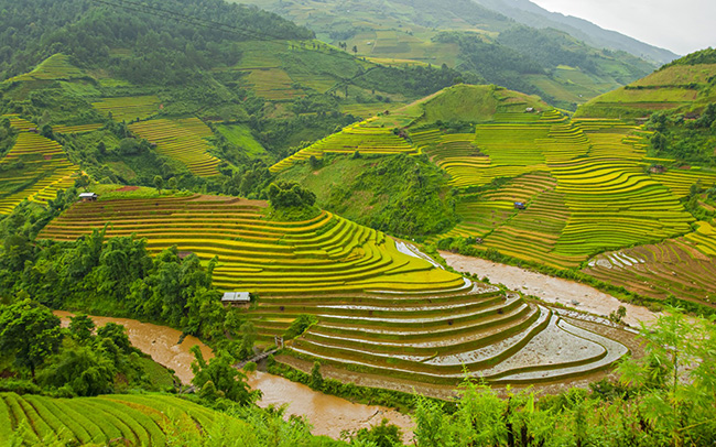 soi cầu Trà Vinh