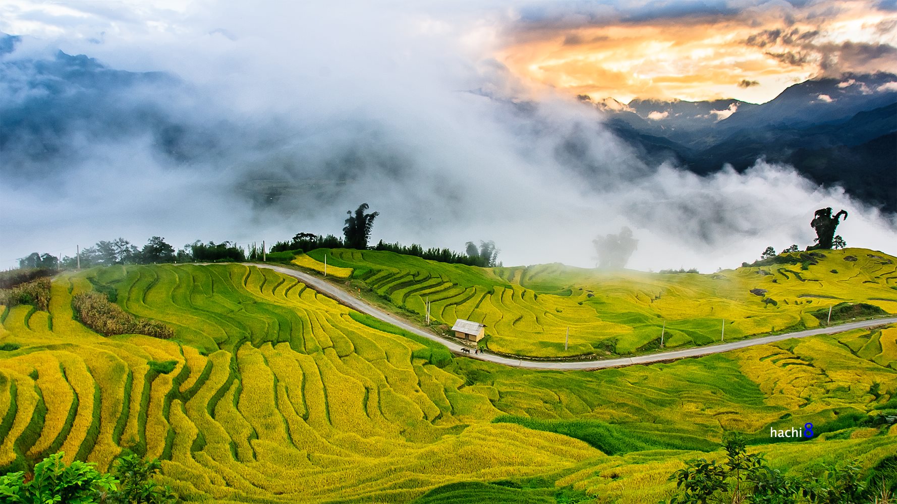 soi cầu An Giang