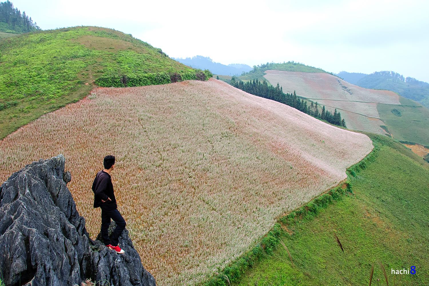 soi cầu Bình Dương