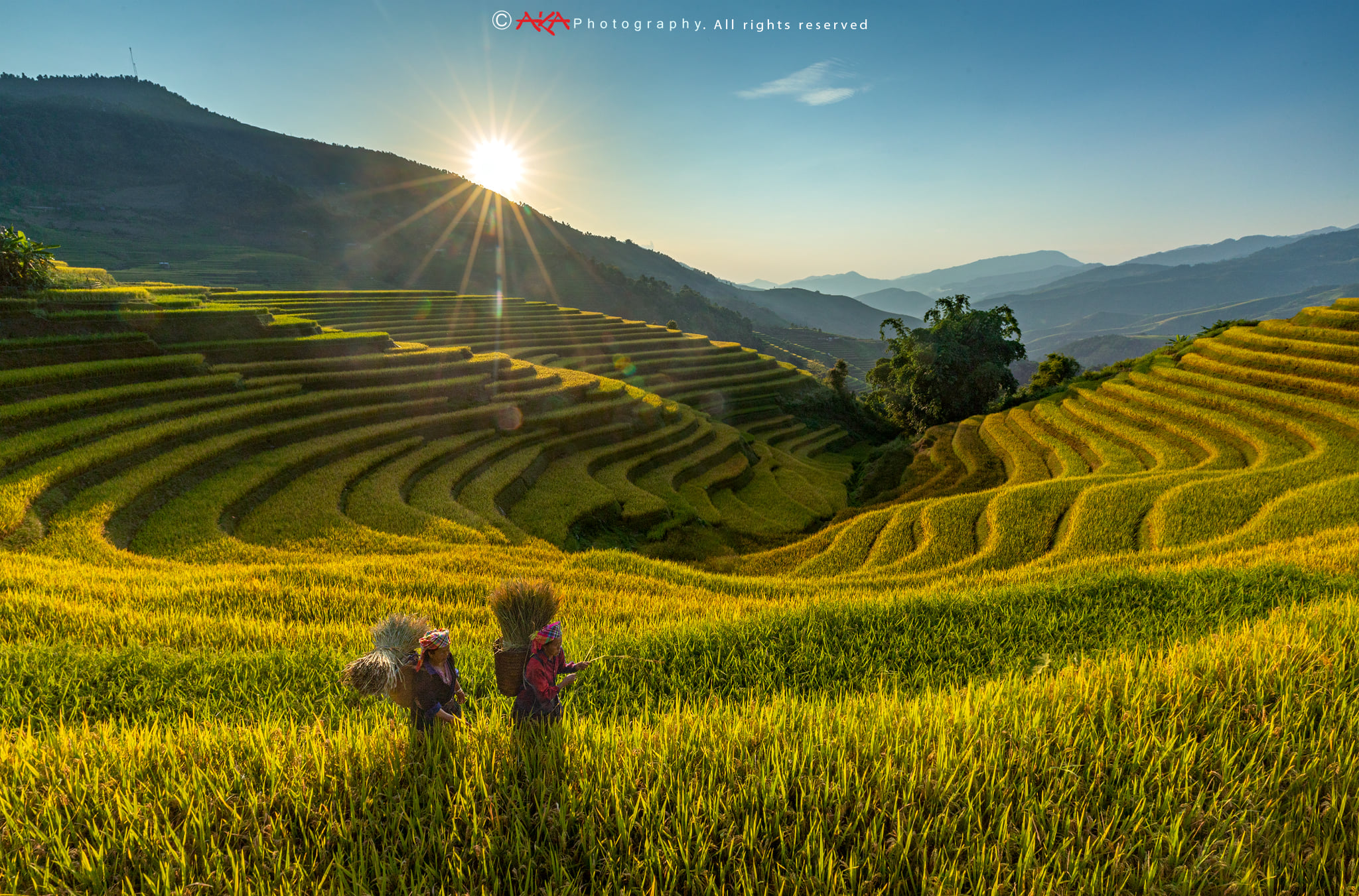 soi cầu Đà Nẵng