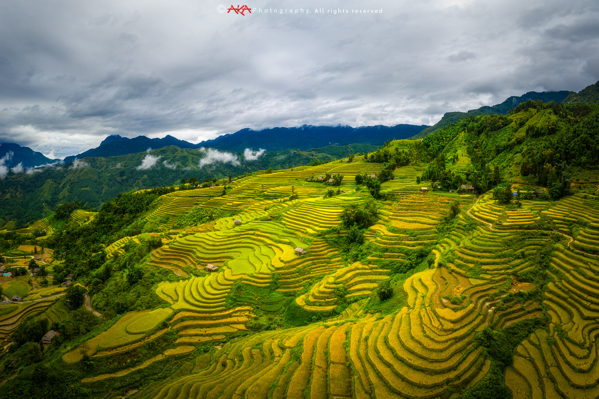 soi cầu Phú Yên