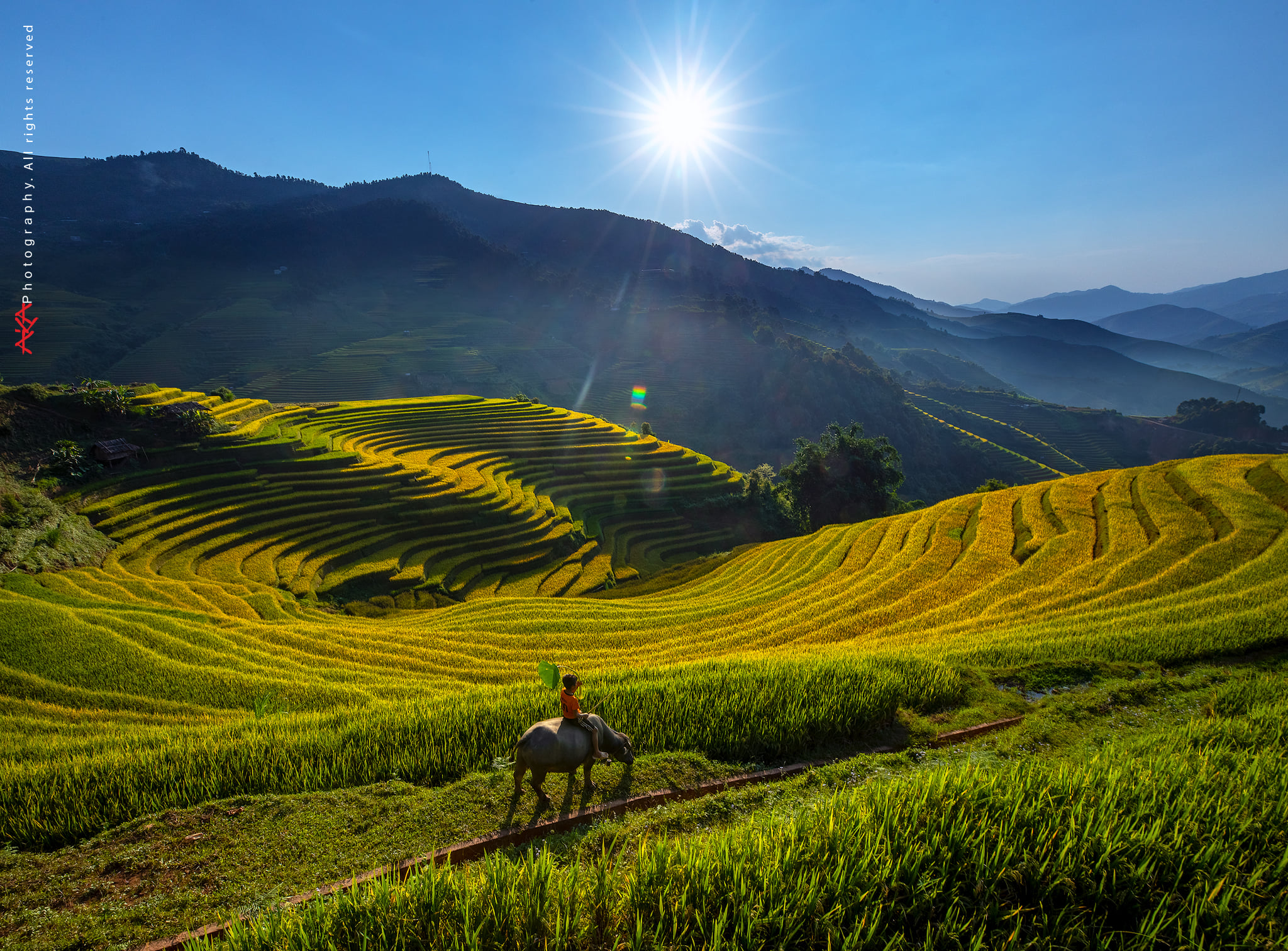 soi cầu Hậu Giang