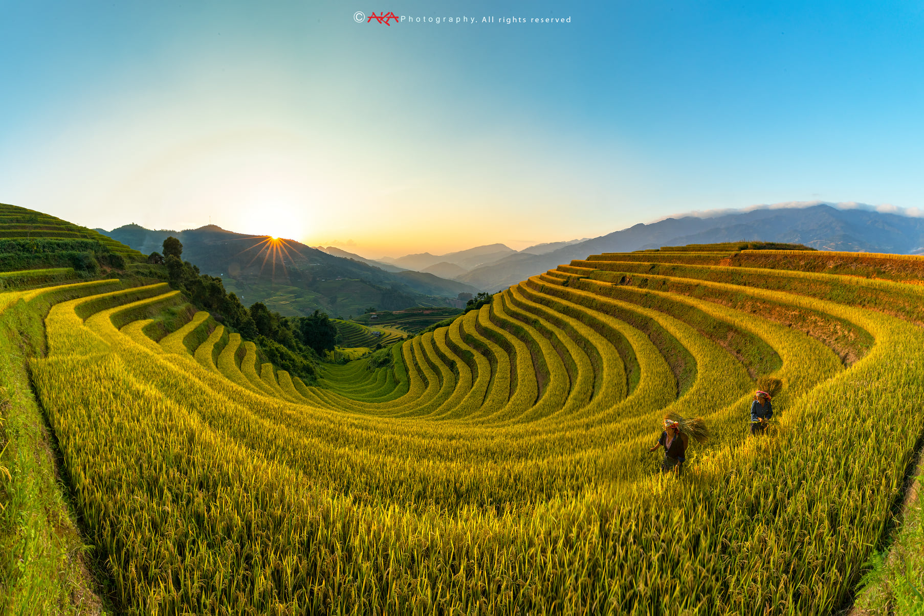 soi cầu Trà Vinh