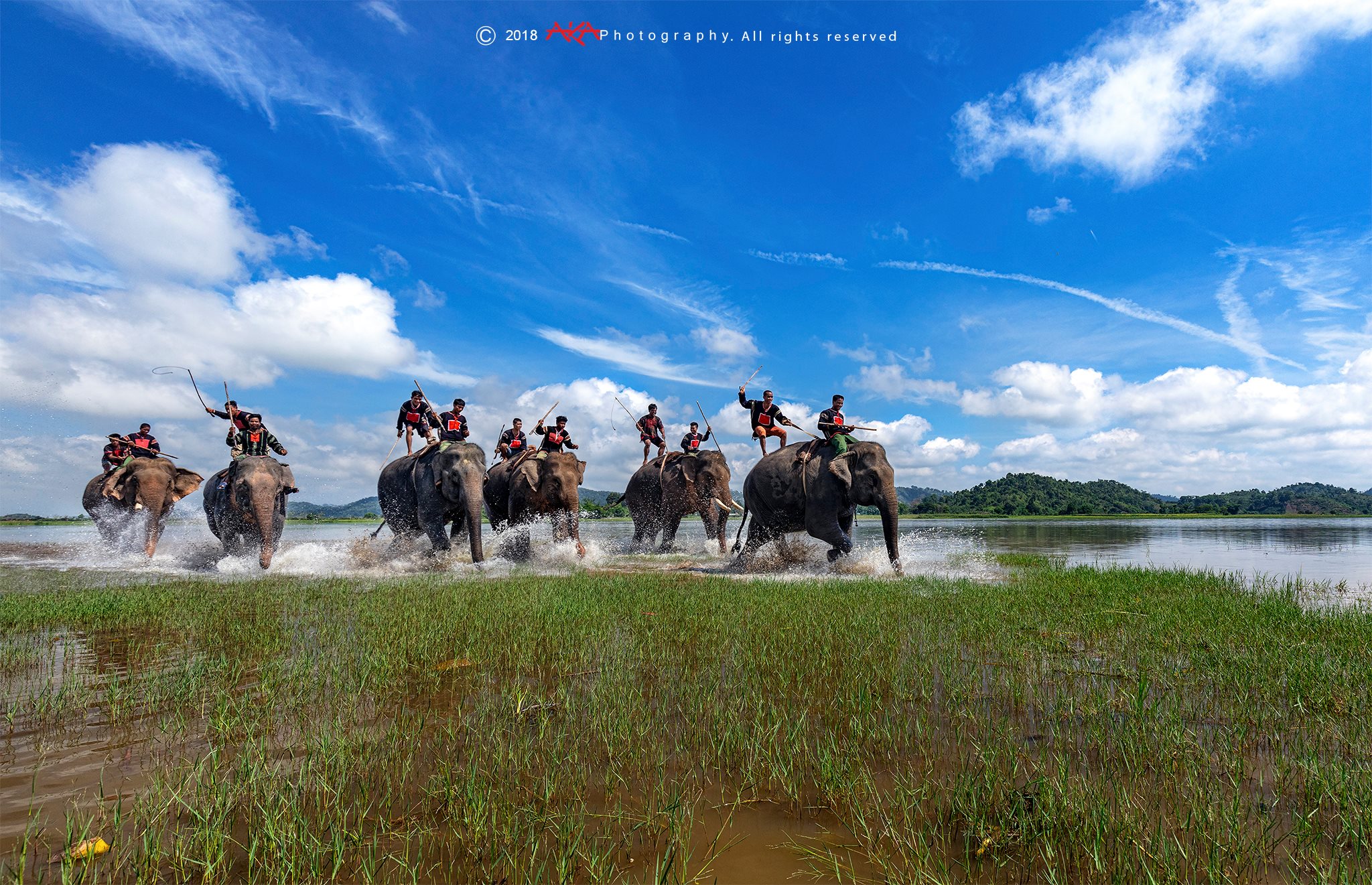 soi cầu Vĩnh Long