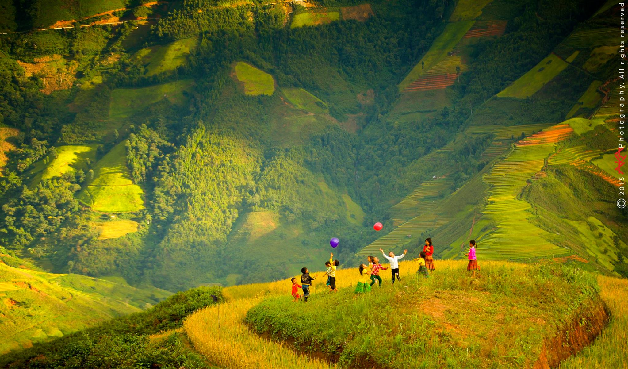 soi cầu Hậu Giang