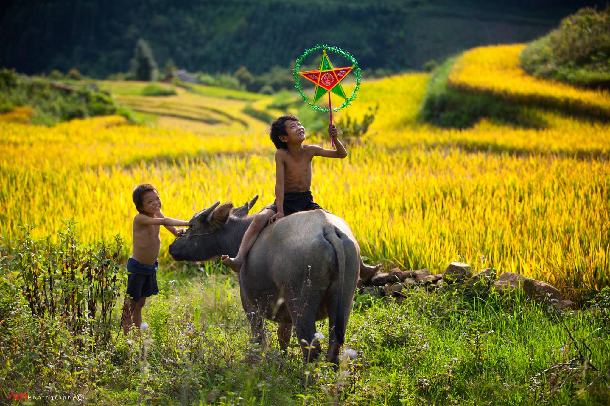 soi cầu Quảng Bình