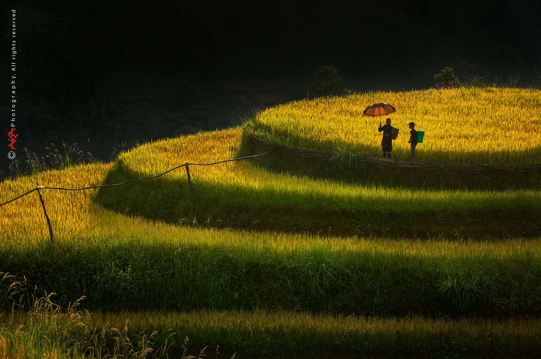 soi cầu Đà Lạt