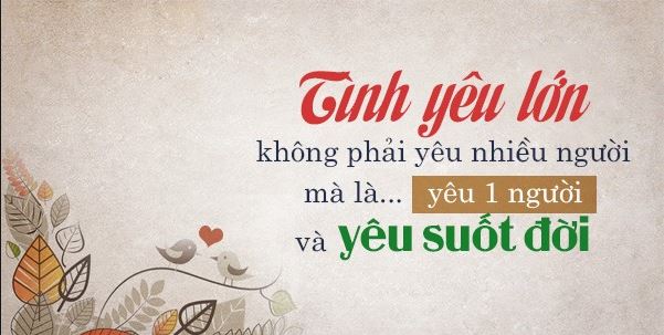 soi cầu Cà Mau